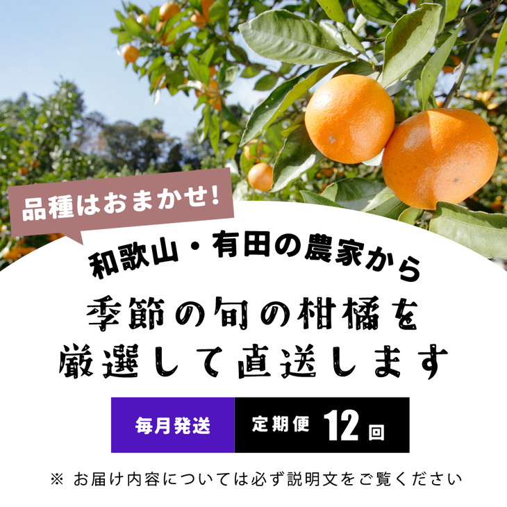 【定期便/毎月配送/全12回】厳選・和歌山の季節の柑橘5kg農家直送フルーツ定期便 | 有田 みかん 蜜柑 オレンジ 八朔 せとか ポンカン セミノール バレンシア いよかん 不知火 ※北海道・沖縄・離島への配送不可