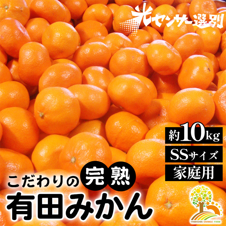 ＼光センサー選別／こだわりの完熟有田みかん SSサイズ約10kg 有機質肥料100%
※2024年11月上旬頃～2025年1月上旬頃に順次発送
※沖縄・離島への配送不可