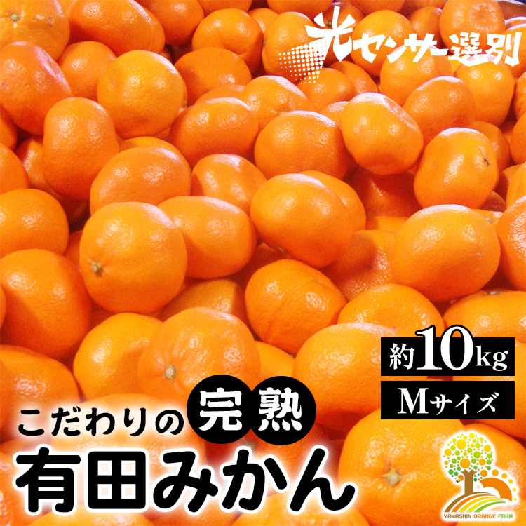 ＼光センサー選別／完熟有田みかんＭサイズ　約10kg 有機質肥料100%
※2024年11月中旬～2025年1月上旬頃に順次発送予定
※沖縄・離島への配送不可