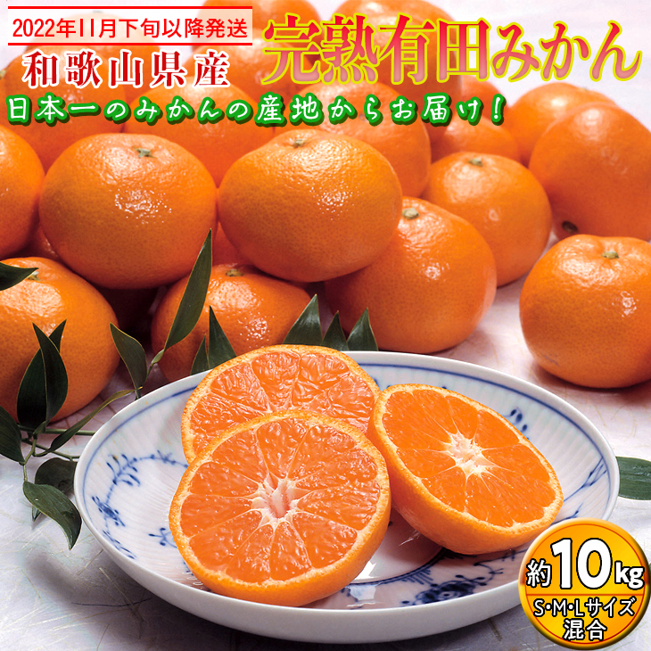 【2022年11月下旬以降発送】　和歌山県産 完熟有田みかん 約10kg｜くだもの 果物 フルーツ 柑橘 蜜柑 ミカン 産地直送 ※2022年11月下旬～2023年1月上旬に順次発送予定 ※離島への配送不可 ※着日指定不可