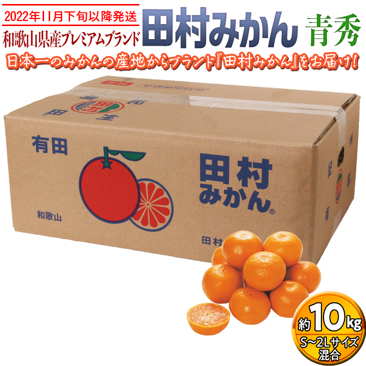 【2022年11月下旬以降発送】和歌山県産プレミアムブランド田村みかん 青秀 10kg｜くだもの 果物 フルーツ 柑橘 蜜柑 ミカン 産地直送 ※2022年11月下旬～2023年1月中旬に順次発送予定 ※離島への配送不可 ※着日指定不可