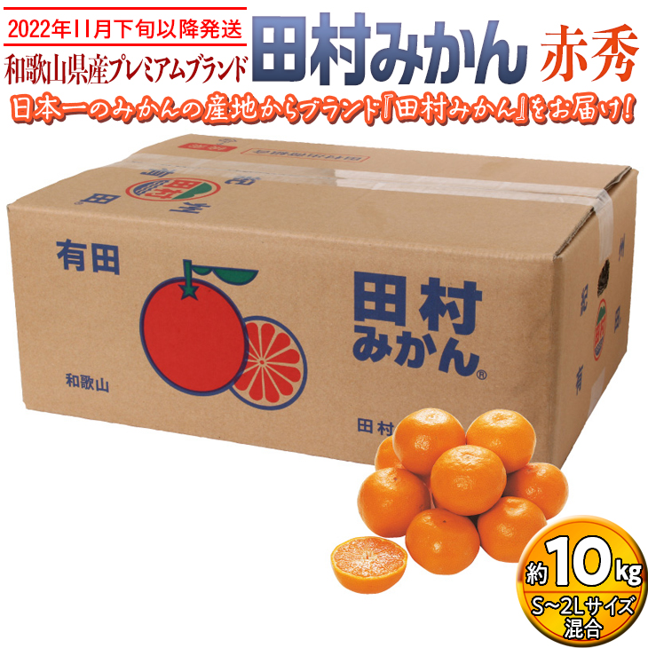 【2022年11月下旬以降発送】和歌山県産プレミアムブランド田村みかん 赤秀 10kg｜くだもの 果物 フルーツ 柑橘 蜜柑 ミカン 産地直送 ※2022年11月下旬～2023年1月中旬に順次発送予定 ※離島への配送不可 ※着日指定不可