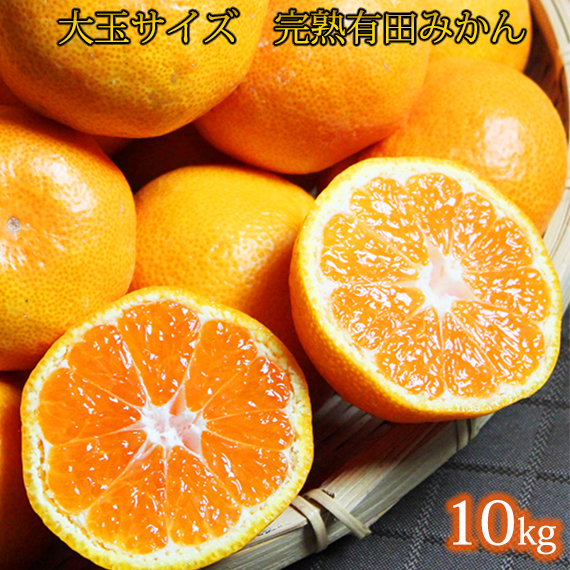 大玉サイズ　完熟有田みかん　１０kg
※2024年11月下旬〜2025年1月下旬頃に順次発送予定