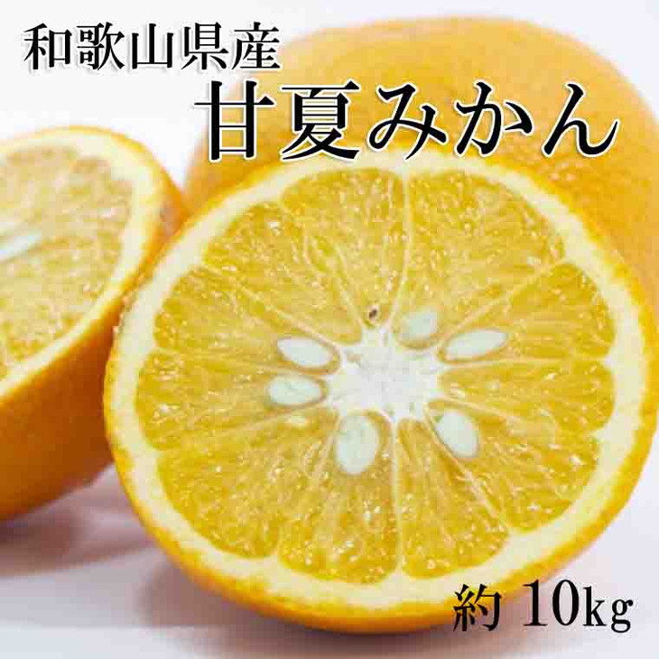 和歌山県産甘夏みかん約10kg（サイズおまかせ）｜柑橘 かんきつ フルーツ 果物 産地直送
※着日指定不可
※2024年3月中旬～3月下旬頃に順次発送予定