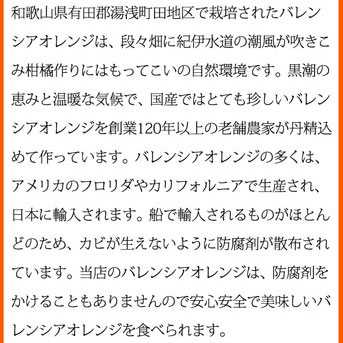 【ご家庭用訳あり】希少な国産バレンシアオレンジ 7kg ※2025年6月下旬～7月上旬頃に順次発送予定