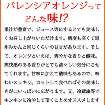 【ご家庭用訳あり】希少な国産バレンシアオレンジ 7kg ※2025年6月下旬～7月上旬頃に順次発送予定