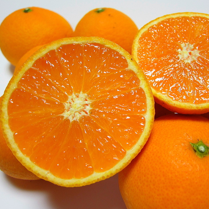 【先行予約】【春の美味】【農家直送】濃厚清見オレンジ（ご家庭用）約3kg
※2025年2月下旬～4月中旬頃に順次発送予定
※北海道・沖縄・離島への配送不可