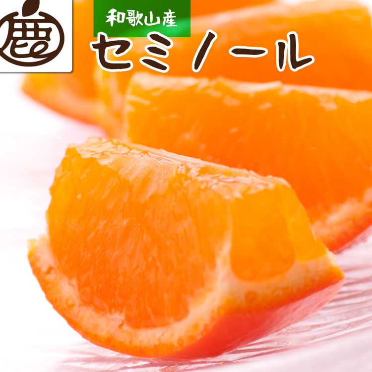 ＜4月より発送＞厳選 セミノールオレンジ1.7kg+51g（傷み補償分）【春みかん】【有田産】【光センサー食べ頃出荷】 ※北海道・沖縄・離島への配送不可 ※2025年4月上旬～5月下旬頃に順次発送予定