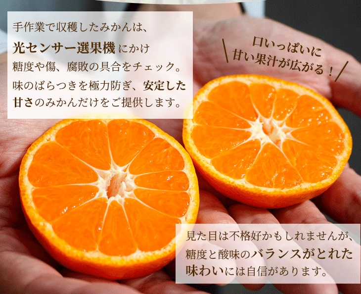 【先行予約】家庭用 有田みかん8kg＋240g(傷み補償分)◆【5kgと10kgの中間サイズ】
※北海道・沖縄・離島への配送不可
※2024年1月上旬～1月下旬頃に順次発送予定