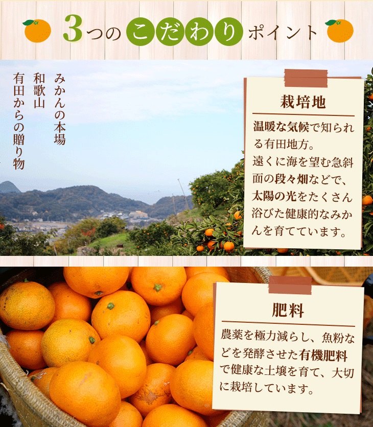 【先行予約】家庭用 有田みかん8kg＋240g(傷み補償分)◆【5kgと10kgの中間サイズ】
※北海道・沖縄・離島への配送不可
※2024年1月上旬～1月下旬頃に順次発送予定