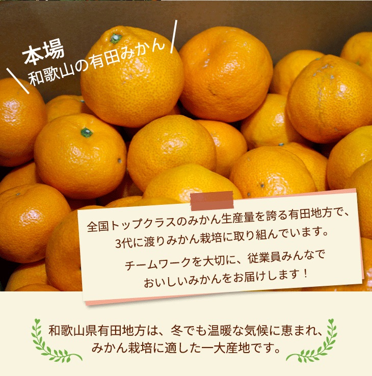 ＼光センサー選別／こだわりの完熟有田みかん SSサイズ約10kg 有機質肥料100%
※2024年11月上旬頃～2025年1月上旬頃に順次発送
※沖縄・離島への配送不可