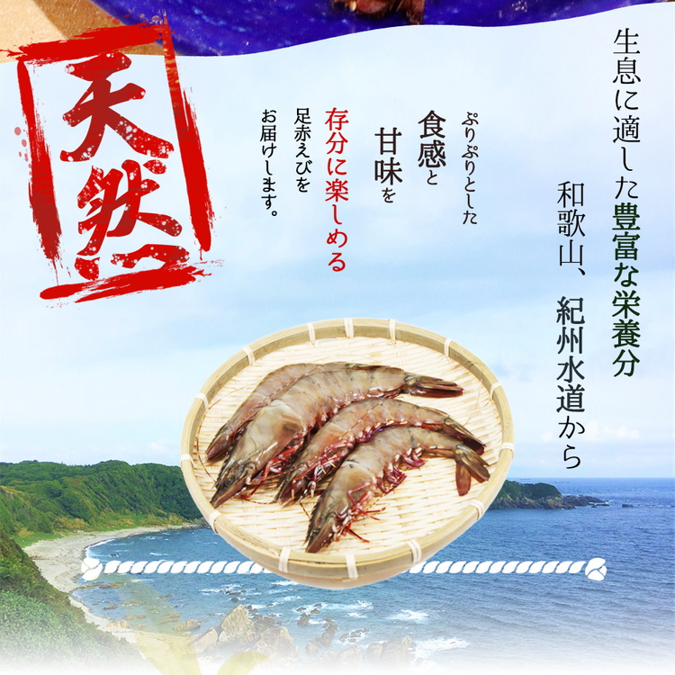 紀州和歌山産天然足赤えび540g（270g×2パック）　化粧箱入
※着日指定不可
※2024年11月上旬?2025年2月下旬頃に順次発送予定