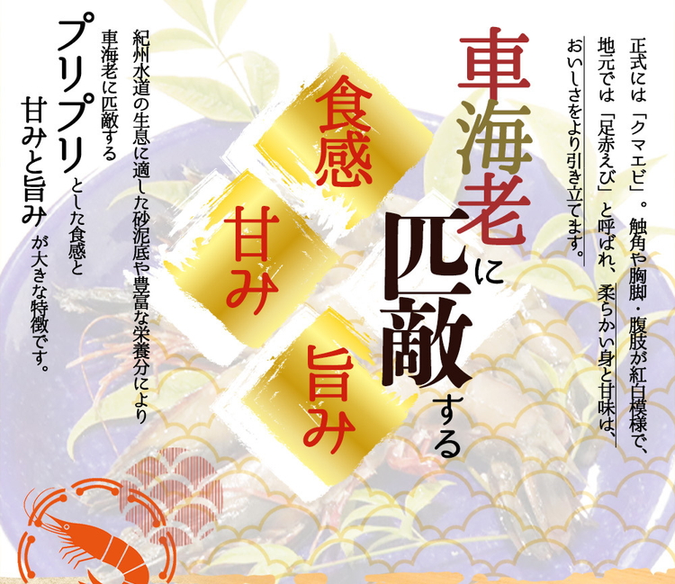 紀州和歌山産天然足赤えび540g（270g×2パック）　化粧箱入
※着日指定不可
※2024年11月上旬?2025年2月下旬頃に順次発送予定