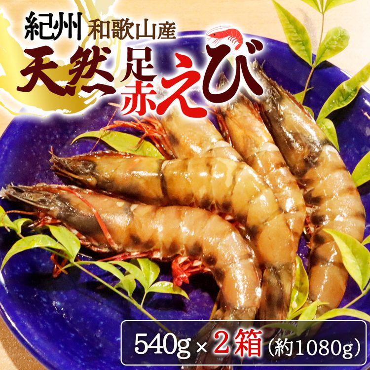 紀州和歌山産天然足赤えび540g×2箱（270g×4パック）　化粧箱入
※着日指定不可
※2024年11月上旬?2025年2月下旬頃に順次発送予定