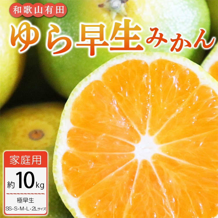 【ご家庭用 極早生】和歌山有田ゆら早生みかん約10kg(SS、S、M、L、2Lサイズ)
※配送不可地域あり※2023年10月下旬頃～11月中旬頃に順次発送予定