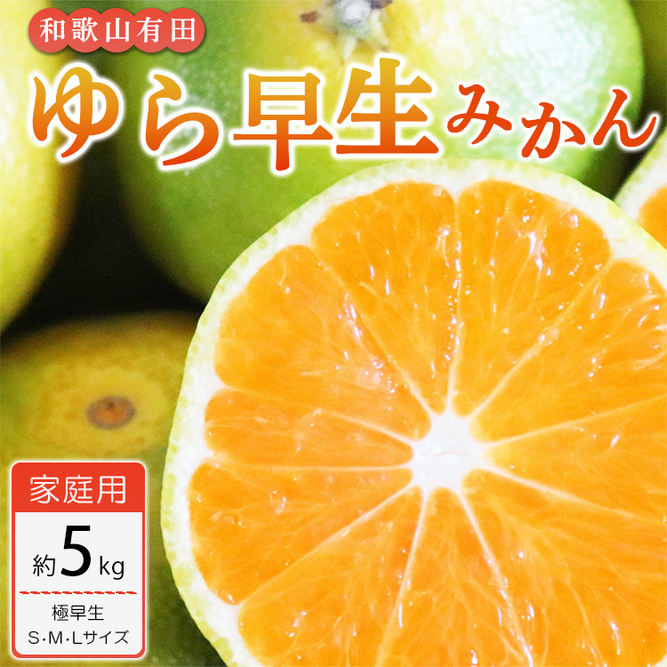 【ご家庭用 極早生】和歌山有田ゆら早生みかん 約5kg(S、M、Lサイズ)【美浜町】 ※北海道・沖縄・離島への配送不可 ※2024年10月中旬～11月中旬頃に順次発送予定