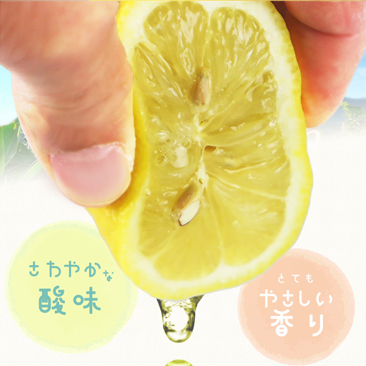 【ご家庭用訳あり】紀州有田産レモン　2.5kg
※着日指定不可
※2025年3月上旬～3月下旬頃に順次発送予定