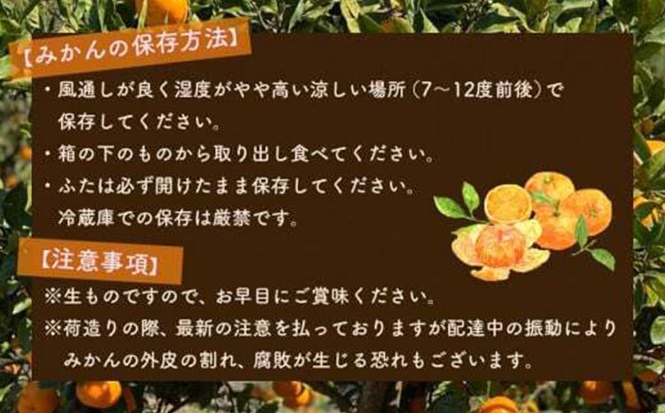 北真農園　有田みかん 家庭用 3kg
濃厚完熟　お試しサイズ　ORYY推奨
※着日指定不可
※2023年11月上旬～12月下旬頃に順次発送予定