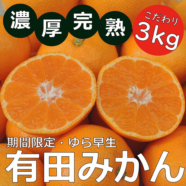 北真農園　有田みかん　ゆら早生
濃厚完熟　3kg　お試しサイズ　ORYY推奨
※着日指定不可
※2023年11月上旬～中旬頃に順次発送予定