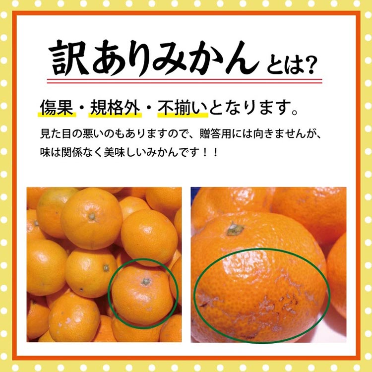 ＼光センサー選別／ 訳あり 有田みかん 約5kg  【ご家庭用】
※着日指定不可
※北海道・沖縄・離島への配送不可
※2024年11月中旬～2025年1月上旬頃に順次発送予定