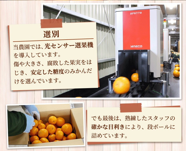 【先行予約】家庭用 有田みかん8kg＋240g(傷み補償分)◆【5kgと10kgの中間サイズ】
※北海道・沖縄・離島への配送不可
※2024年1月上旬～1月下旬頃に順次発送予定