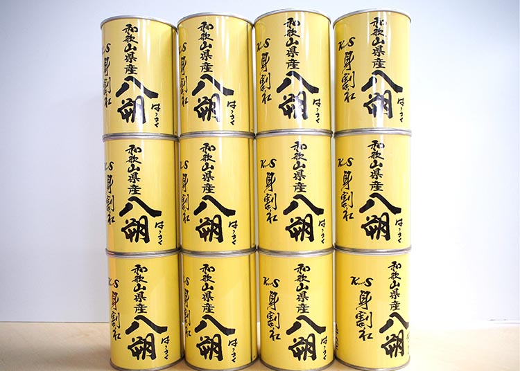 和歌山県産八朔缶詰（身割れ）425g×12缶セット◇