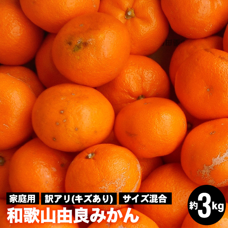 和歌山由良みかん　約３kg　訳あり　家庭用キズあり　サイズ混合
※着日指定不可
※2023年11月下旬～2024年1月中旬頃までに順次発送予定