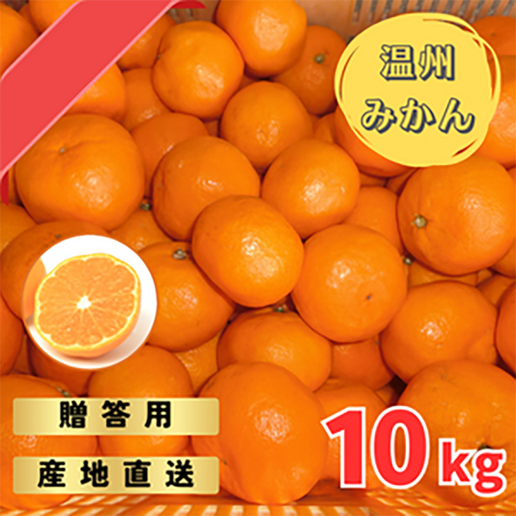 宮川早生みかん贈答用特選　10kg箱入 | みかん 早生みかん 早生 贈答用 旬
※着日指定不可
※2023年11月下旬～2024年1月上旬頃に順次発送予定