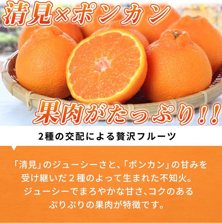 紀州有田産不知火(しらぬひ) 2.5kg
※2025年2月中旬～3月中旬頃に順次発送予定