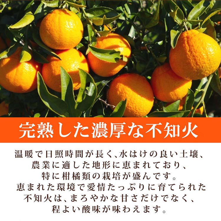 紀州有田産不知火(しらぬひ) 2.5kg
※2025年2月中旬～3月中旬頃に順次発送予定