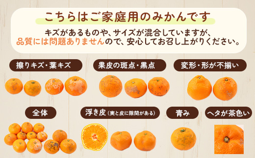 ＜2024年11月より発送＞家庭用 小玉な有田みかん7.5kg+225g（傷み補償分）【わけあり・訳あり】【光センサー選果】　※北海道・沖縄・離島への配送不可　※2024年11月中旬～12月下旬頃に順次発送予定