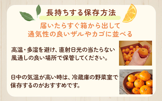 ＜2024年11月より発送＞家庭用 超熟有田みかん2.5kg+75g（傷み補償分）【わけあり・訳あり】【光センサー選果】　※北海道・沖縄・離島への配送不可　※2024年11月上旬～12月下旬頃に順次発送予定