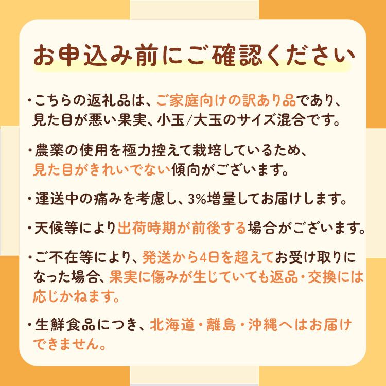 家庭用 蔵出しみかん10kg+300g（傷み補償分）わけあり｜有田の蔵出しみかん　わけあり・訳あり　光センサー選果　※北海道・沖縄・離島への配送不可　※2025年1月中旬～2月下旬頃に順次発送予定