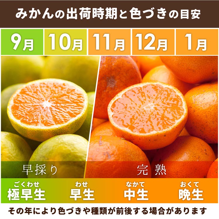 家庭用 完熟 有田みかん7kg＋210g（傷み補償分）サイズ混合　※北海道・沖縄・離島への配送不可　※2024年11月中旬～2025年1月下旬頃に順次発送予定