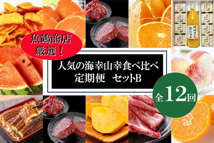 〈毎月定期便〉人気の海幸山幸食べ比べ セットB 【定期便全12回】【魚鶴厳選】◇