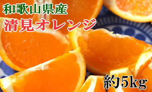 和歌山県産清見オレンジ約5kg(サイズ混合) ※2025年3月中旬～4月上旬頃に順次発送予定