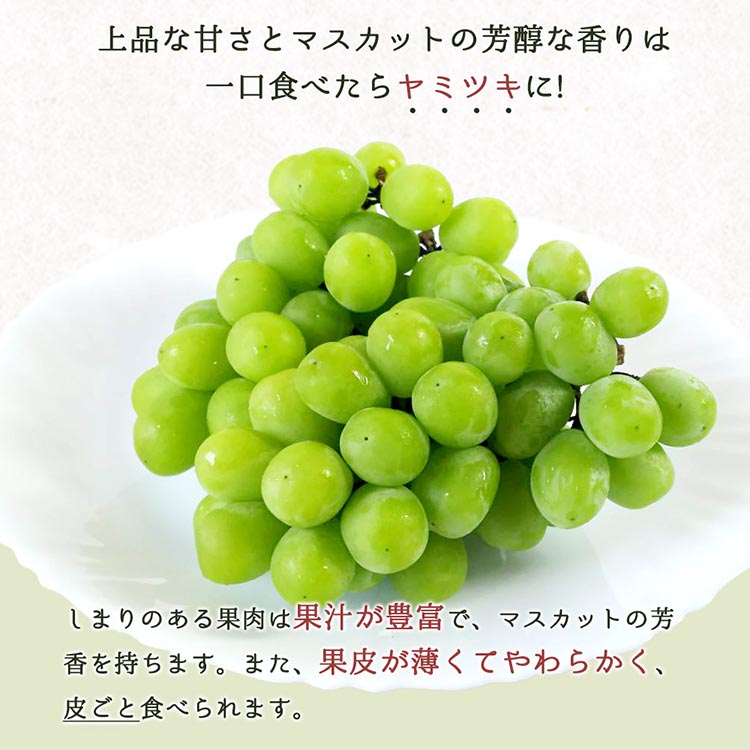 紀州和歌山産シャインマスカット 約2kg ※離島への配送不可 ※2025年8月下旬頃～9月上旬頃に順次発送予定