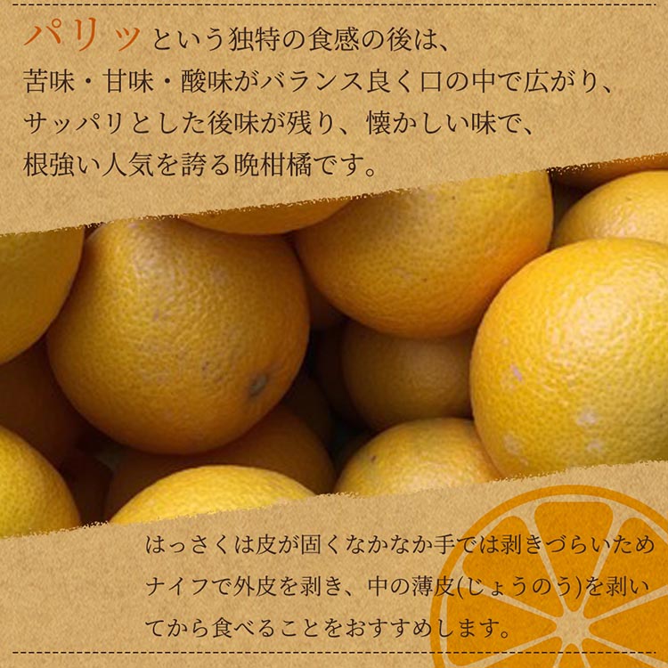 紀州和歌山産八朔（はっさく）約10kg◇ ※2025年2月上旬～2月下旬頃に順次発送予定