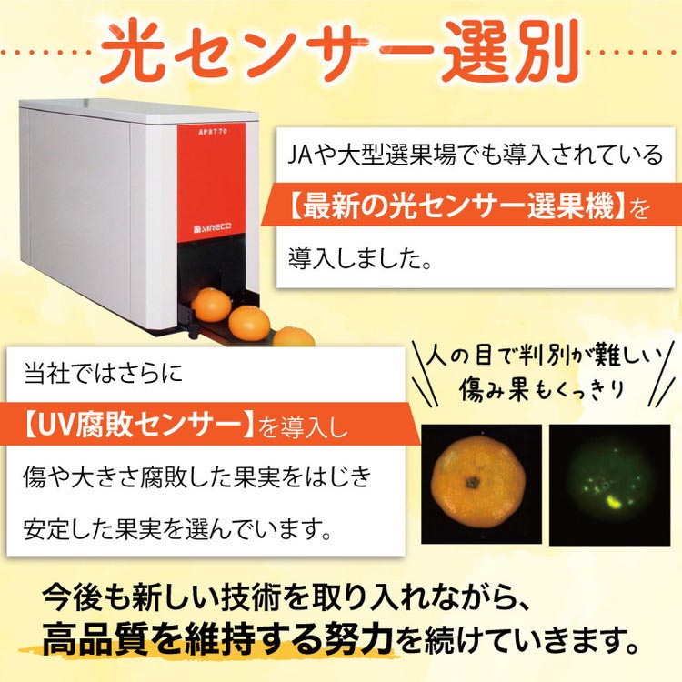 ＼光センサー選別／こだわりの完熟有田みかん 2.5kg＋75g(傷み補償分)【ご家庭用】サイズ混合 有機質肥料100% ｜ みかん 有田みかん 温州みかん ミカン 温州ミカン 柑橘 温州 甘い コク 産地直送 ※2024年11月中旬～2025年1月上旬頃に順次発送予定 ※北海道・沖縄・離島への配送不可