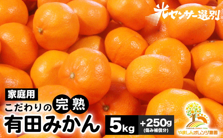 ＼光センサー選別／こだわりの完熟有田みかん 5kg＋250g(傷み補償分)【ご家庭用】サイズ混合 有機質肥料100% ｜ みかん 有田みかん 温州みかん ミカン 温州ミカン 柑橘 温州 甘い コク 産地直送 ※2024年11月中旬～2025年1月上旬頃に順次発送予定 ※北海道・沖縄・離島への配送不可