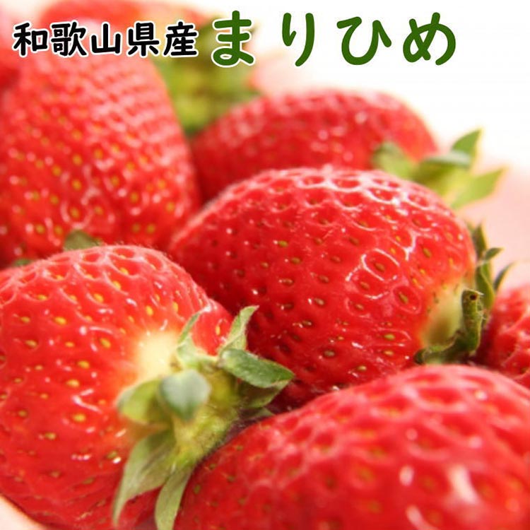 【4月発送】和歌山県産ブランドいちご「まりひめ」約300g×2パック入り ※北海道・沖縄・離島への配送不可 ※2025年4月上旬～4月下旬頃に順次発送予定