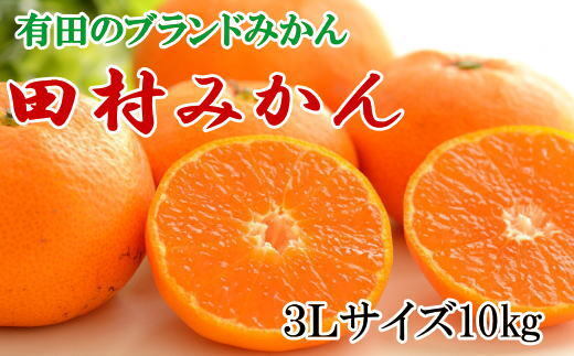 【ブランドみかん】田村みかん 大玉 約10kg (3Lサイズ) ※2024年11月下旬～12月下旬頃に順次発送予定