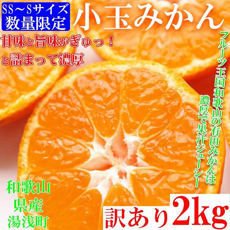 みかん 2kg sサイズ ssサイズ ｜ 訳あり 有田みかん S‐SS ご家庭用 和歌山県 小玉みかん ※北海道・沖縄・離島への配送不可 ※2024年10月下旬～2025年1月下旬頃に順次発送予定