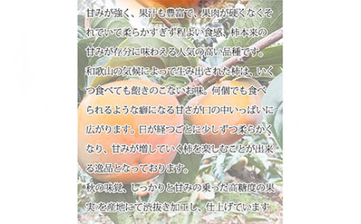 和歌山秋の味覚 平核無柿（ひらたねなしがき）約7.5kg ※2025年10月上旬～10月末頃に順次発送予定