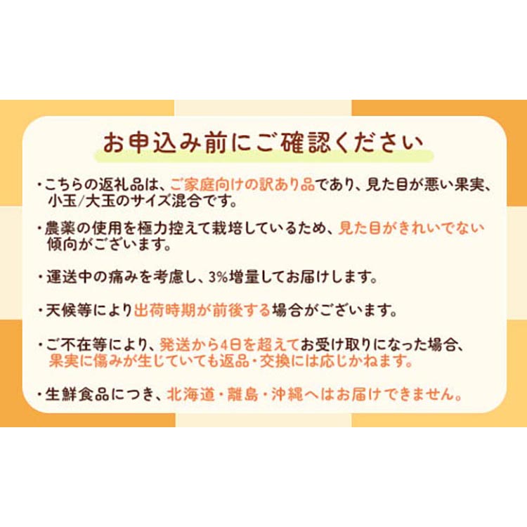 ＜2024年11月より発送＞家庭用 小玉な有田みかん 3.5kg＋105g（傷み補償分）【わけあり・訳あり】【光センサー選果】 ※北海道・沖縄・離島への配送不可 ※2024年11月上旬～12月下旬頃に順次発送予定