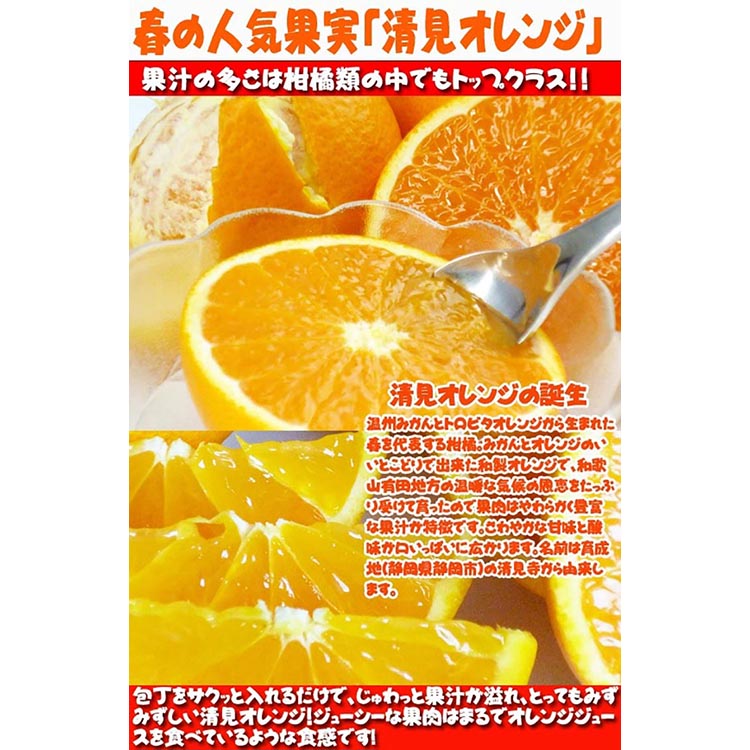 とにかくジューシー清見オレンジ　2.5kg
※2025年3月下旬～4月中旬頃に順次発送予定