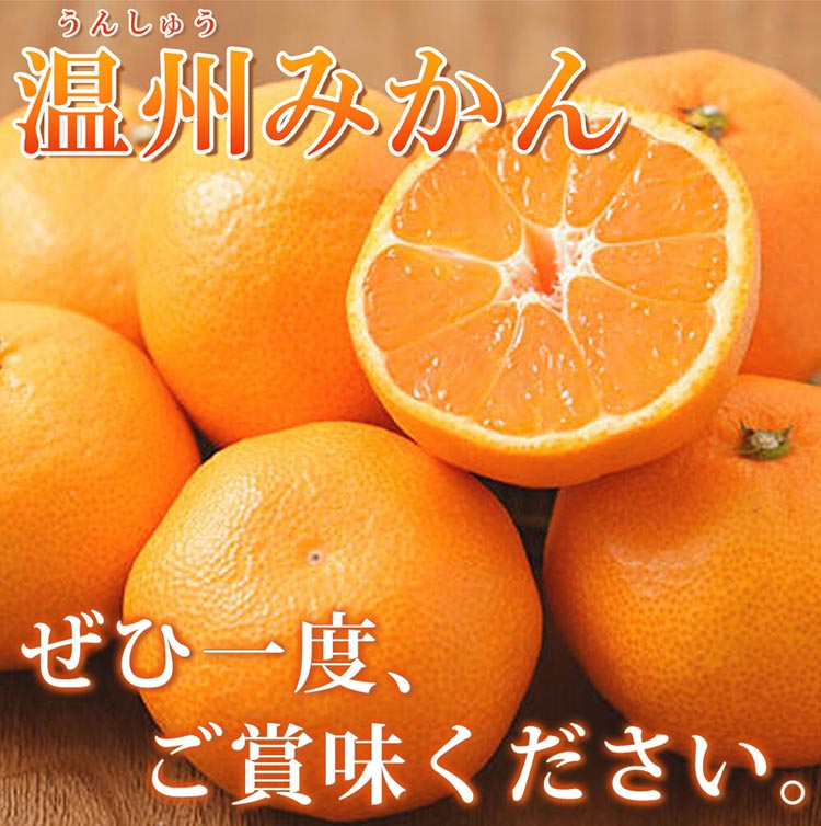 有田の小玉みかん5kg(S～3Sサイズ混合)※2024年11月下旬～2025年1月下旬頃に順次発送予定