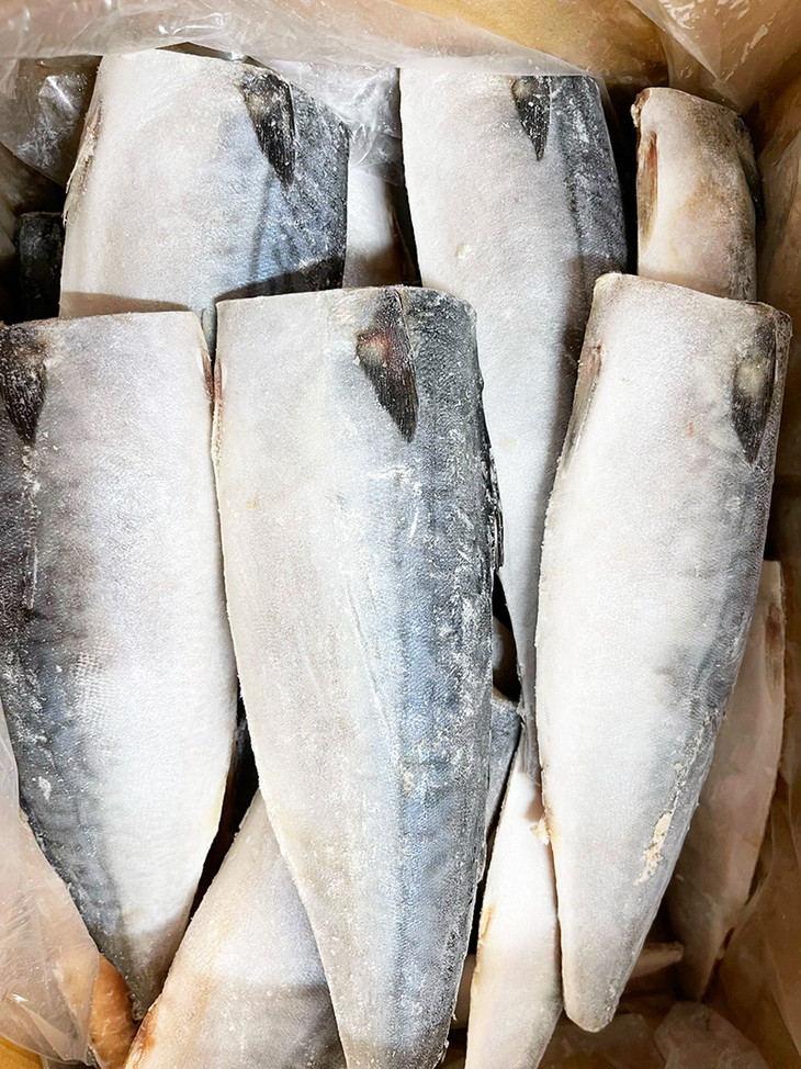 和歌山魚鶴仕込の天然紅サケ切身約2kg　ふるさと納税　和歌山県那智勝浦町