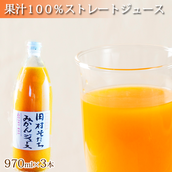 果汁１００ 田村そだちみかんジュース ９７０ml ３本 ふるさとパレット 東急グループのふるさと納税