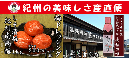 南高梅しそ漬梅干1kgと梅ドレッシング1本　美浜町 ※離島への配送不可